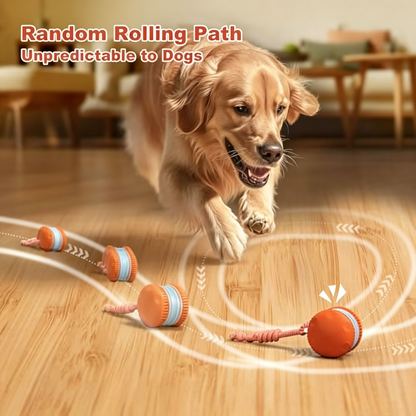 PawEaseGo™ MotionPlay Ball
