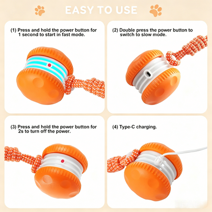 PawEaseGo™ MotionPlay Ball
