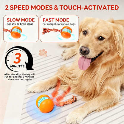 PawEaseGo™ MotionPlay Ball
