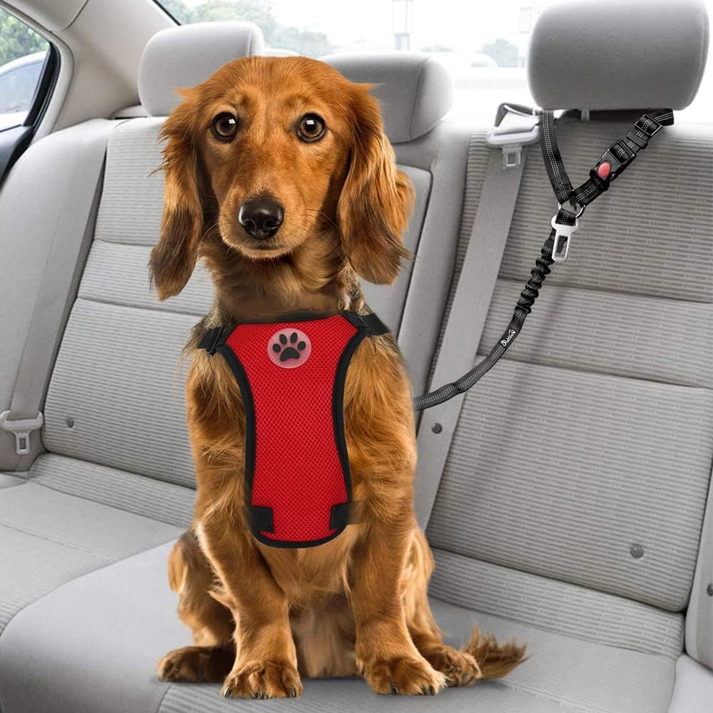 PawEaseGo™ 2-in-1 Bungee Dog Seat Belt