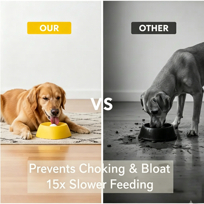 PawEaseGo™ CalmFeed Slow Feeder Bowl