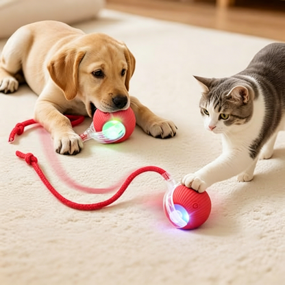 PawEaseGo™ OrbitPlay Smart Rolling Cat Toy Ball