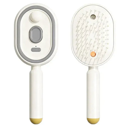 Hydrating Mist Massage Hair Brush for Smooth, Frizz-Free Hair