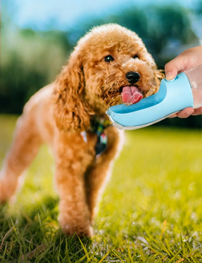 PawEaseGo™ TravelBuddy 3-in-1 Pet Water Bottle