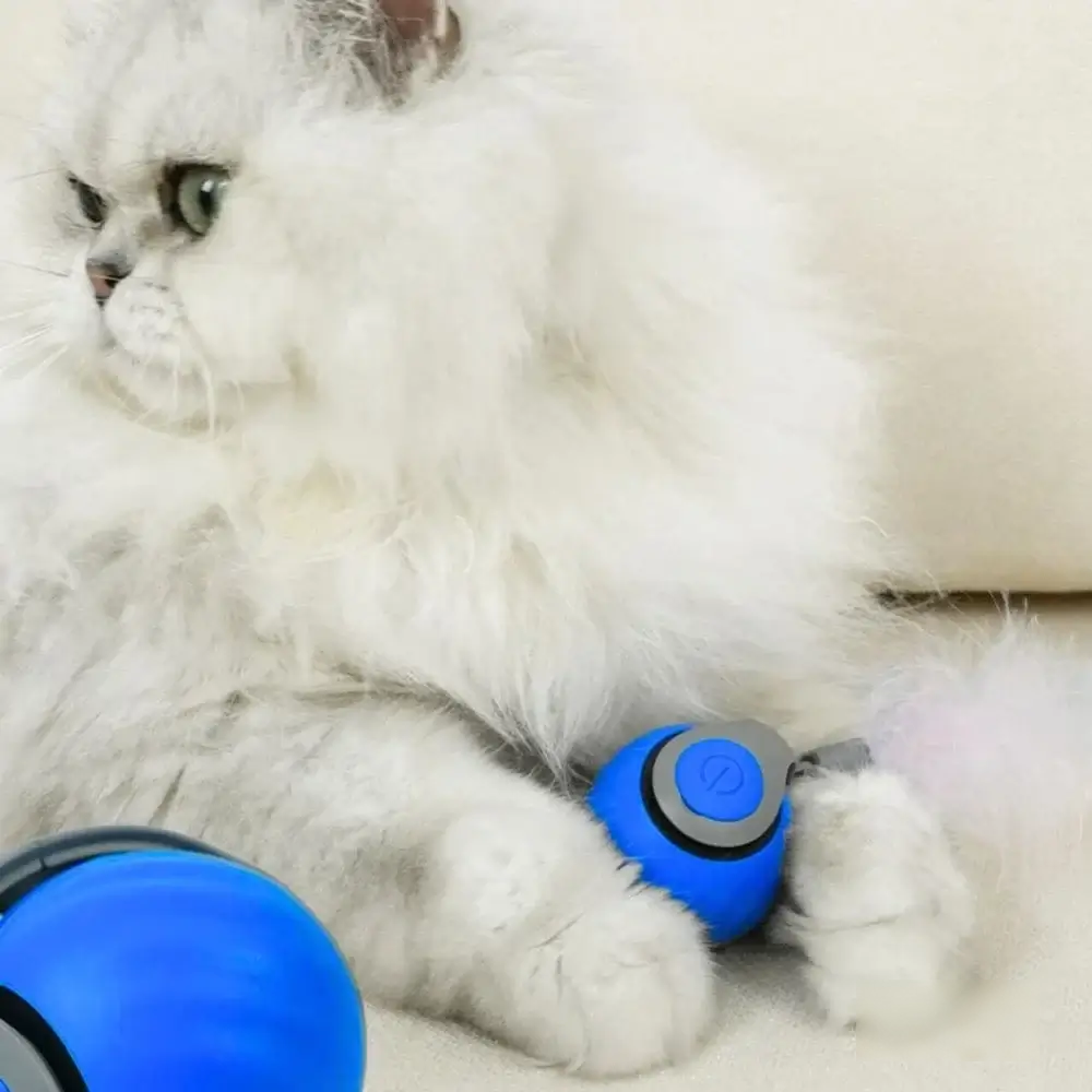 PawEaseGo™ Interactive Smart Ball