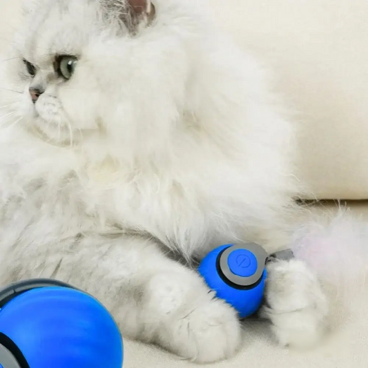 PawEaseGo™ Interactive Smart Ball