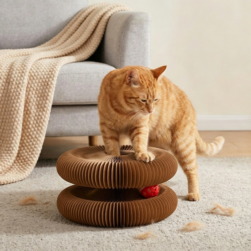 PawEaseGo™ Accordion Cat Scratcher Tunnel Bed – Interactive Scratcher & Play Lounge for Indoor Cats