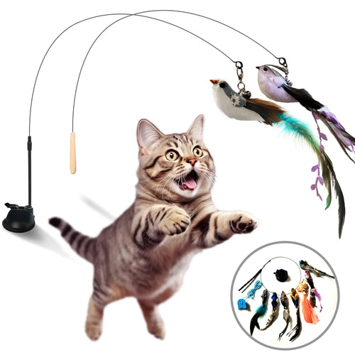 PawEaseGo™ 10-in-1 Interactive Cat Play System