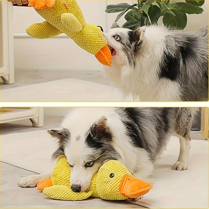PawEaseGo™ CalmiPaw Interactive Crinkle Cat Toy – Anxiety Relief Plush Companion