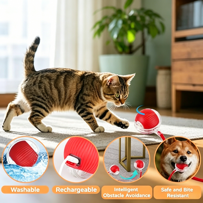 PawEaseGo™ OrbitPlay Smart Rolling Cat Toy Ball