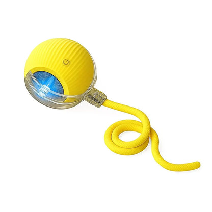 PawEaseGo™ OrbitPlay Smart Rolling Cat Toy Ball