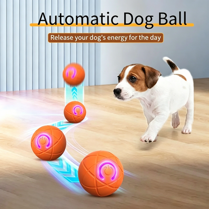 PawEaseGo™ Interactive Motion Dog Ball