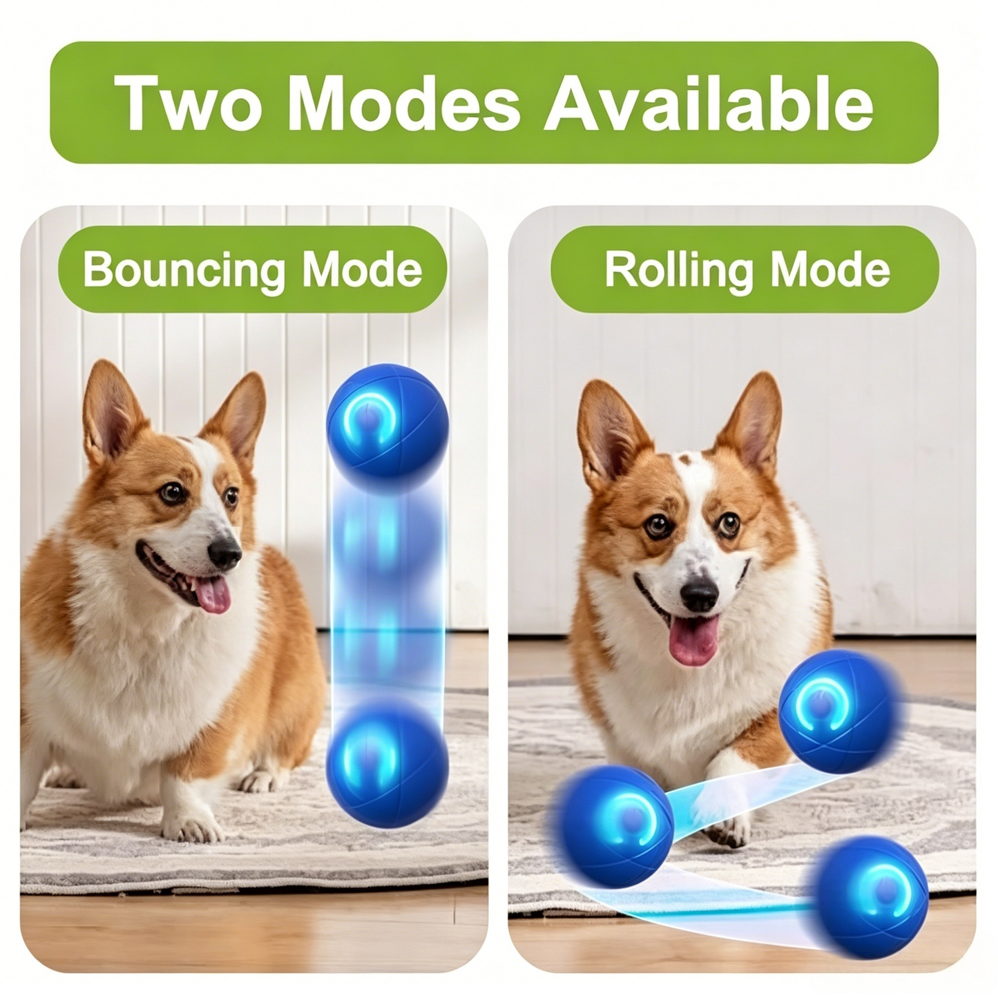 PawEaseGo™ Interactive Motion Dog Ball
