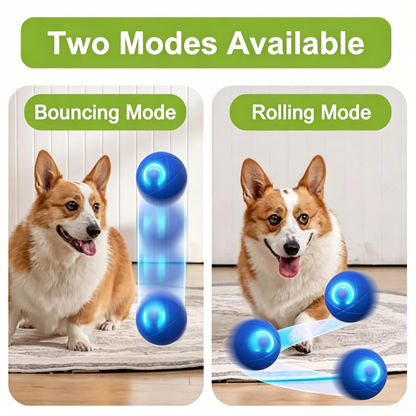 PawEaseGo™ Interactive Motion Dog Ball