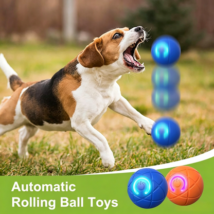 PawEaseGo™ Interactive Motion Dog Ball